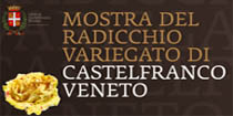 Immagine per 32^ mostra del RADICCHIO VARIEGATO di Castelfranco Veneto